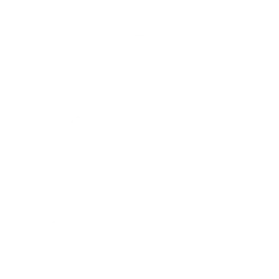 Download Icon